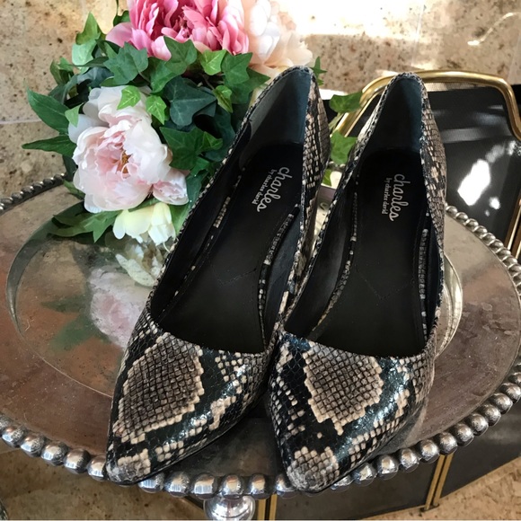 Charles David Vasto Python Pumps 10 - Picture 3 of 6